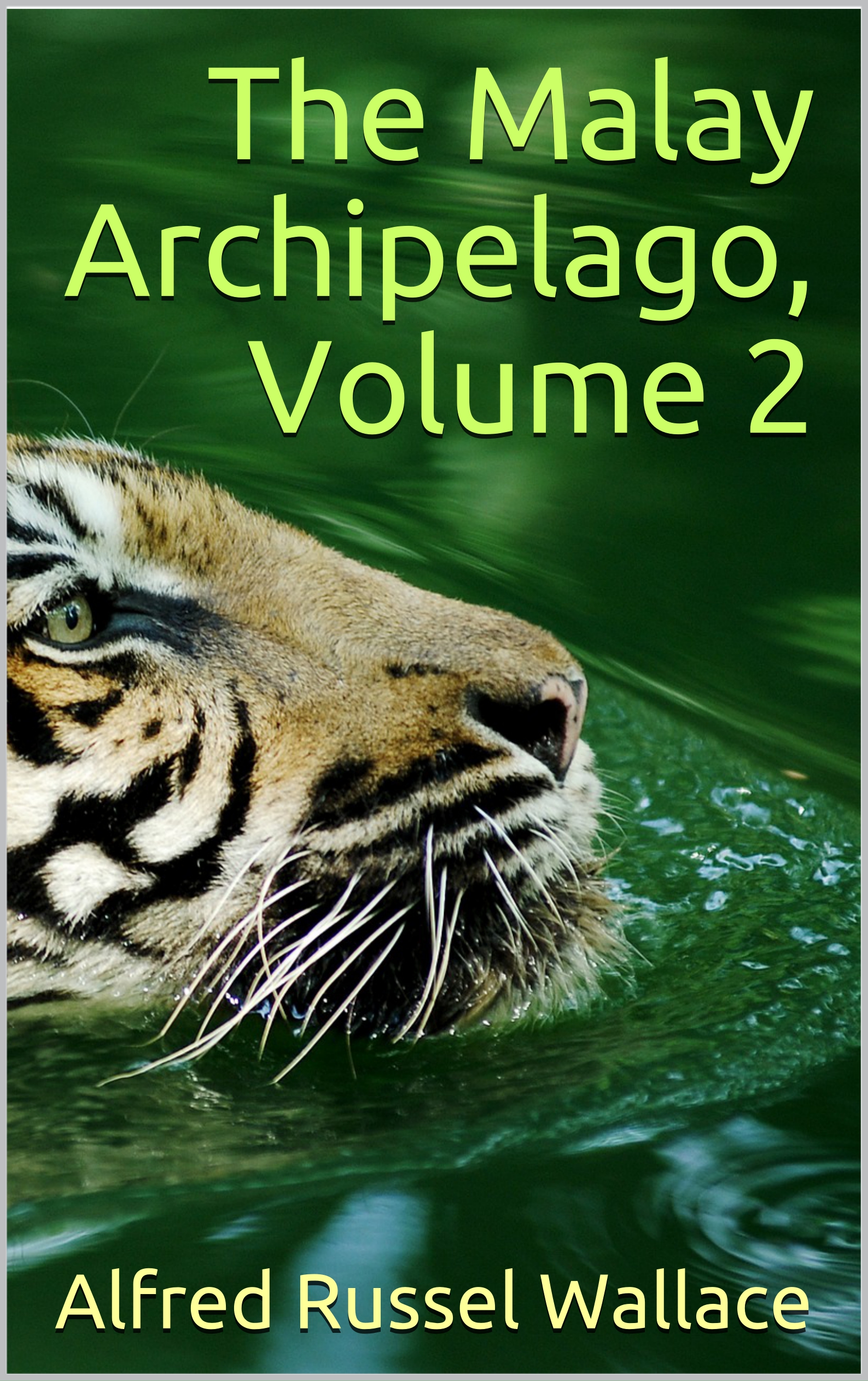  The Malay Archipelago, Volume 2 