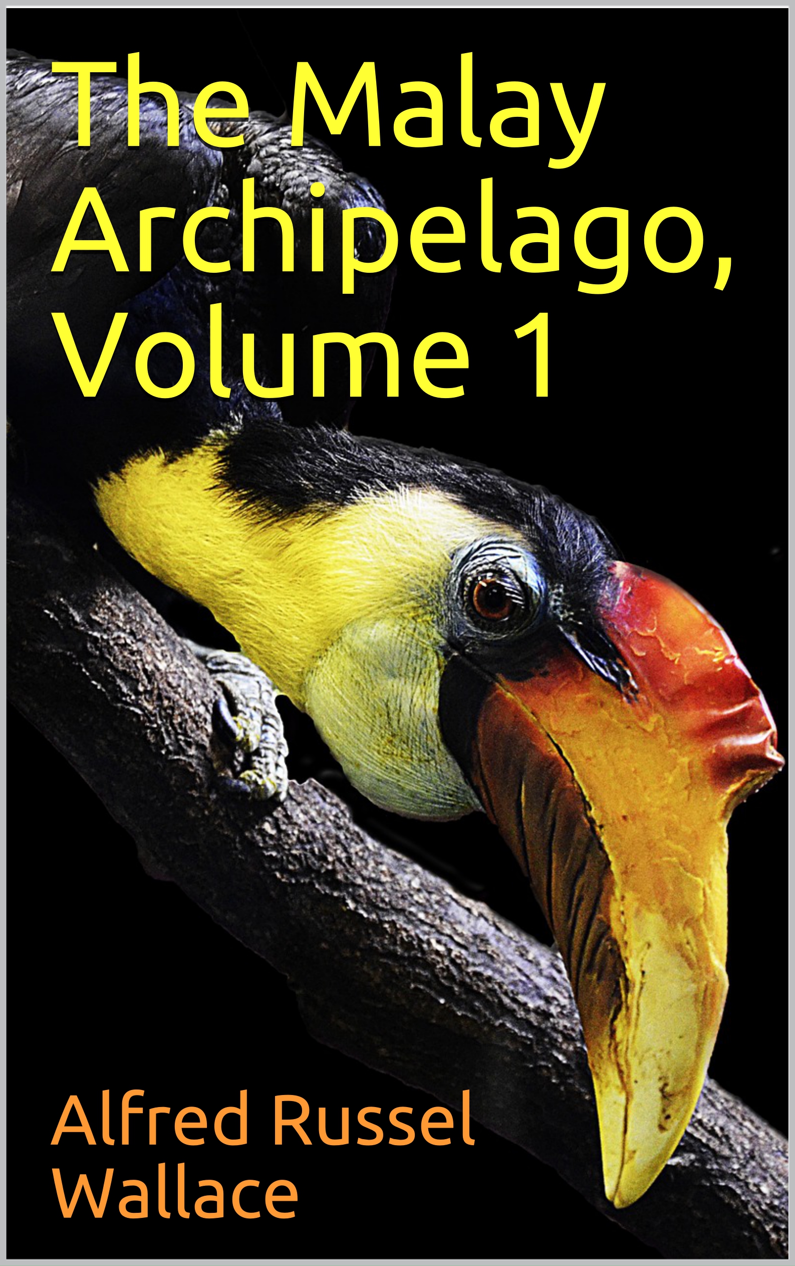  The Malay Archipelago, Volume 1 