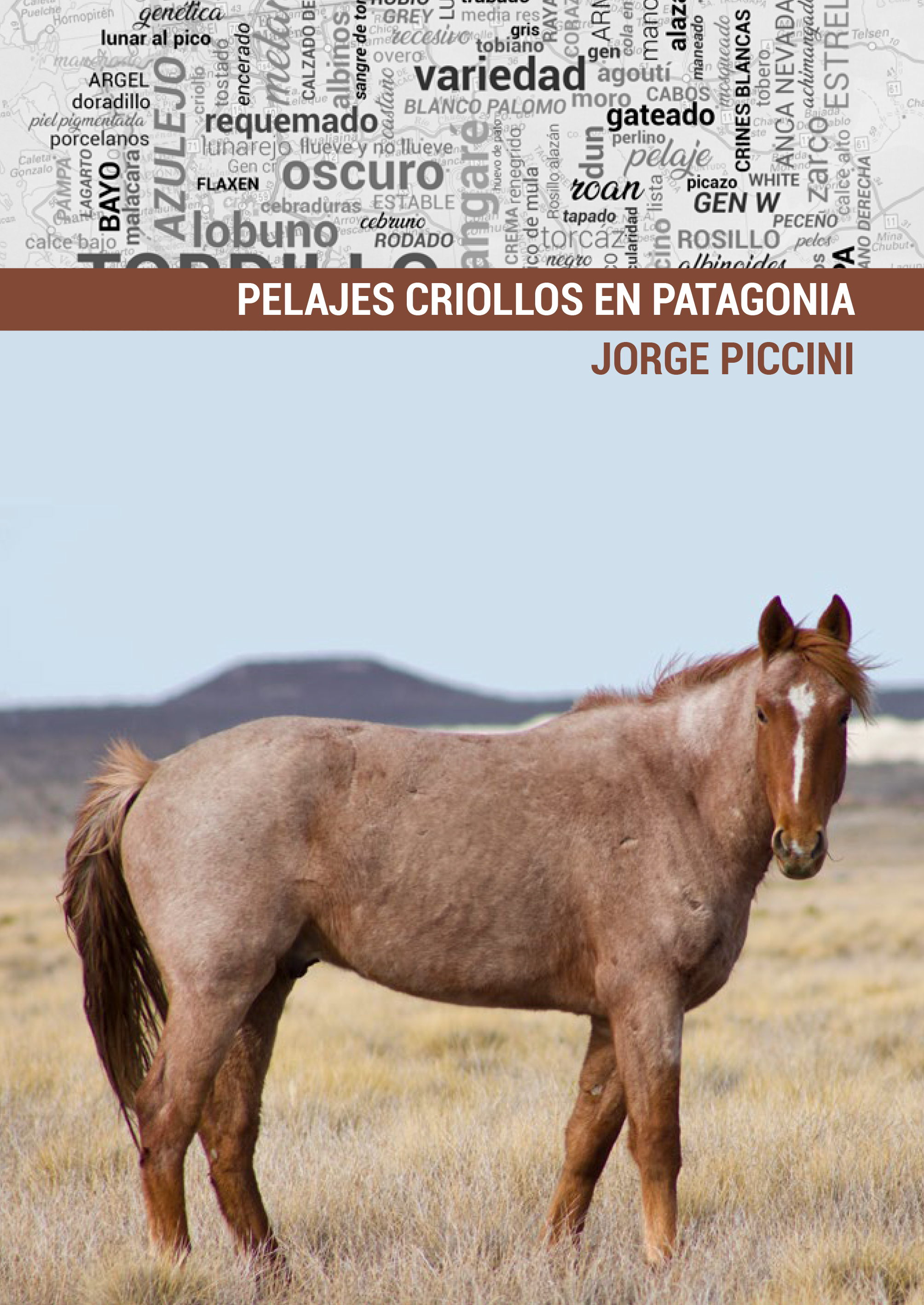 Pelajes criollos en Patagonia